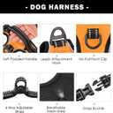 PHOEPET No Pull Dog Harnesses for Small Dogs Reflective Adjustable Front Clip Vest with Handle 2 Metal Rings 3 Buckles [Easy to Put on & Take Off] (XS, Orange)