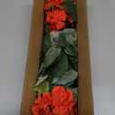 4pcs Fake Flower Artificial Geranium,Artificial Flowers for Outdoors Geraniums Artificial Flowers Realistic,Artificial Geraniums for Outdoors Fake Plant Decoration(Red) 14.4"