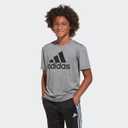 adidas Boys' Short Sleeve Aeroready Performance Logo Tee T-Shirt (Gray)
