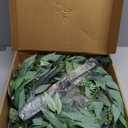 26" Eucalyptus Wreath for Front Door - Large Artificial Greenery Outdoor Wreath with A Hook & DIY Decor for Porch, Window, Farmhouse, Home, Holiday Decor- Spring, Summer, Fall, All Seasons (Green)