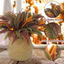 2 Pack 44'' Artificial Boston Fern Fall Porch Decor Hanging Plants Natural Indoor Outdoor Large Fake Ferns for Home, Garden, Thanksgiving, Autumn Decor