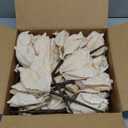 Alupssuc 10 PCS Poinsettia Christmas Flowers Artificial, Large Size 9 Inch Glitter Poinsettia Flowers Artificial, Sparkling Christmas Decorations for Xmas Tree Party Wreath Fireplace, Champagne Gold