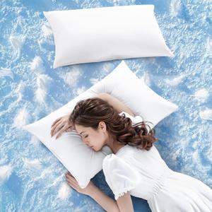 LBRO2M Goose Down Pillow 1050 Fill Power 80% Goose Down 20% Goose Feather 100% Cotton Pillowcase Queen Down Pillows Ideal for Plush Comfort and Support (20"X36", Set of 2) (King (Pack of 2), White)