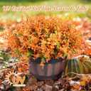LiuSuper 16 Bundles Fall Flowers Artificial for Decoration, UV Resistant Fall Fake Flowers No Fade, Faux Fall Plants Arrangement for Thanksgiving Porch Home Garden Fireplace (Fall Orange 16*Boxwood)