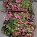 Lvydec Wisteria Artificial Flowers Garland, 4 Pcs Total 28.8ft Artificial Wisteria Vine Silk Hanging Flower for Home Garden Outdoor Ceremony Wedding Arch Floral Decor (Pink)