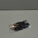 GORTIN 1920's Flapper Feather Headband Art Deco Headpiece Inspired Leaf Medallion Pearl Headband (Black/Gold)