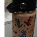 Alphabet Dinosaur Water Bottle for Boys, 16oz Kids Stainless Steel Insulated Water Bottle with Straw Lid, Dinosaur Dino Cup Tumbler Gifts for School