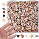 2 x PPCLION 50pcs Tiny Strarfish&2000Pcs Tiny Mini Small Clam Sea Shells for Crafting Spiral for Crafts Charms Home Decorations Candle Decor DIY Fish Tank and Beach Vase Filler