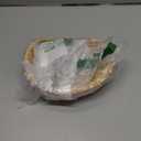 Munchkin Bambou Divided Suction Plate - Eco-Friendly Bamboo Dinnerware for Babies and Toddlers