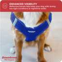 2 x Downtown Pet Supply Step in Dog Harness for Small Dogs No Pull, Medium, Blue - Adjustable Harness with Padded Mesh Fabric and Reflective Trim - Buckle Strap Harness for Dogs