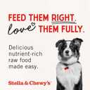 Stella & Chewy's Freeze-Dried Raw Chicken Heart Dog Treats - Single Ingredient, No Additives - Premium Training Treats - Perfect For Picky Eaters - 11oz Bag (11.5 Ounce (Pack of 1))