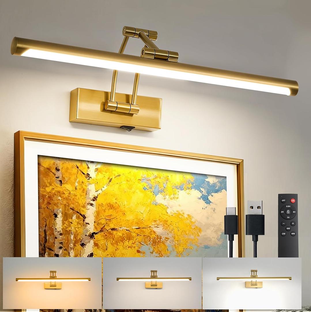 ZitoStory Picture Lights for Wall Battery Operated, (Gold, 24in) Rechargeable Art Light for Painting,Modern wall Lights for Pictures,Dimmable Gallery Artwork Lights for Pictures On Wall