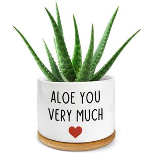 Thank You Very Much Engraved White Ceramic Succulent Planter Pot, Funny Indoor Plant Pot for Home Office Windowsill, Aloe Cactus Flower Pot 3.8 Inch, Plant Pot Gift (Plant Not Included)