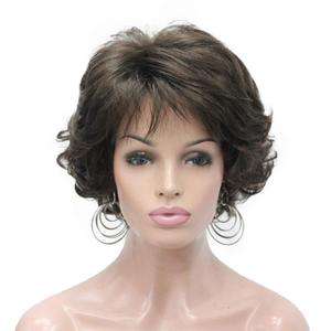 Aimole Short Curly Synthetic Wigs Full Capless Hair Women's Thick Wig for Everyday (8 Lt Chestnut Brown)