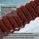 2 x CTRLALT Deep Wave Crochet Hair white Ocean Deep Wave Crochet Hair 16 Inch Curly Braiding Hair for Crochet Braids (16Inch 2pack white) (350)