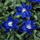 8 Pcs Christmas Flower Magnolia Flowers 8 Inch Artificial Poinsettia Stems Glitter Fake Magnolia Christmas Tree Decorations DIY Ornaments for Xmas Tree Party Wedding Holiday Decor(Blue)