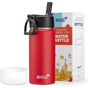 16 oz Water Bottle for Kids-Stainless Steel Double Wall Vacuum Insulated Sports Water Bottles for School, Metal Leak-Proof Water Flask with Straw for Travel (Canyon Red)