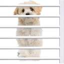Adjustable Short Indoor Dog Gate for Small Dogs & Puppies - Step Over Wooden Pet Gate for Doorways/Stairs, No Installation, 22"-40" Wide (White, M)