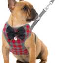 Rypet Small Dog Harness and Leash Set - No Pull Pet Harness with Soft Mesh Nylon Vest for Small Dogs and Cats Red L