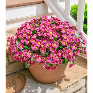 Daisy Artificial Flowers for Outdoors Decoration, 6 Bundles Fake Plants Flowers Bouquet Faux Flowers for Outdoor Planter Look Real UV Resistant Silk Flowers for Outside Garden Porch Patio, Dark Red
