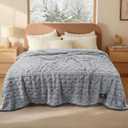 Luciphia Waterproof Pet Blanket, Liquid Pee Proof Dog Blanket for Sofa Bed Couch, Reversible Sherpa Fleece Furniture Protector Cover for Small Medium Large Dogs Cats, Light Grey Queen Size90" x 82"