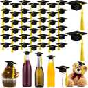 Qunclay 60 Pieces Mini Graduation Cap Hats Plastic Grad Cake Supplies Cover Toppers for Graduation Party Decorations (Black, Gold)