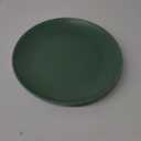 GALLERY Dinner Plates 10.5 GREEN