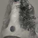 BLACK+DECKER Vitessa Advanced Steam Iron, ICR2020, Even Steam Nonstick Soleplate, Auto Shutoff, Tangle-Free Retractabel Cord, Green (5.79" x 11.73" x 4.84")