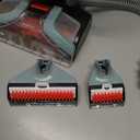 Shark CarpetXpert Upright Carpet, Area Rug & Upholstery Cleaner, Built-In Spot & Stain Remover & XL Tool, Perfect for Pets, Carpet Shampooer, 3 Cleaning Tools, Cleaning Solution, Slate Green, EX151