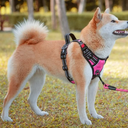 PoyPet Dog Harness, Escape Proof No Pull Vest Harness (Pink,S)
