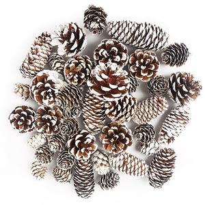 JOHOUSE 40PCS Snow Pinecones for Decorating, Natural Pine Cones for Crafts Vase Filler Christmas Tree Winter Holiday Hanging Ornaments