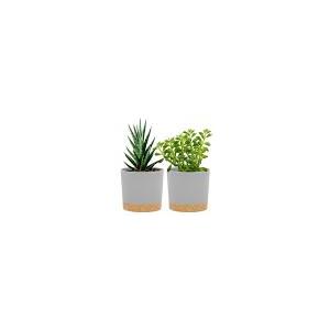 QCQHDU 5 inch Plant Pot, 2 Pack Planters for Indoor Plants with Drainage Holes & Saucer, Outdoor Flower Pots Home Garden Modern Decor