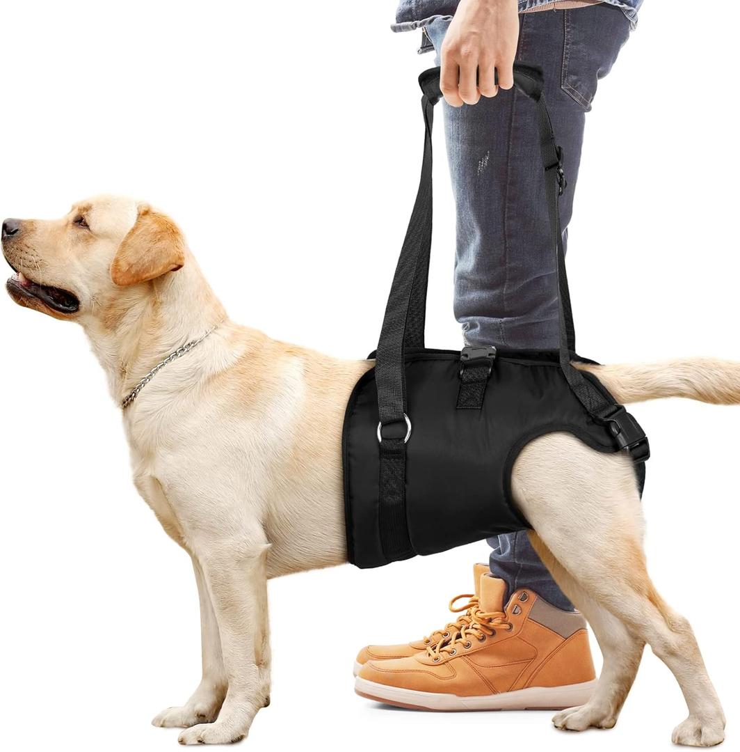 Dog Lift Harness Dog Sling for Large Dogs Hind Leg, Dog Support Harness for Rear Legs Help Rehabilitate The Hind Limbs of Elderly Dogs with Weak Hind Legs Disabilities and Injuries Dog Support Harness (Medium)