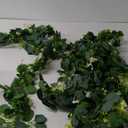 SOMYTING Eucalyptus Garland, Greenery Garland with Gypsophila Flowers Artificial Faux Silver Dollar Eucalyptus Leaves Vines for Table Home Wedding Mantle Party Indoor Outdoor Decor (4PCS)