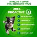 IAMS Proactive Health Adult Minichunks Premium Dry Dog Food, Adult Dog Food Dry Recipe, 30 lb. Bag (EXP 12/17/25)