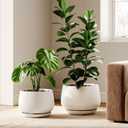 LE TAUCI Ceramic Plant Pots, Set of 2, 10 + 12 Inch Plant Pot, Elegant Planters for Indoor Plants, Sturdy Planter with Drainage Hole and Saucers, Perfect for Home Decor, White