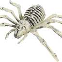 Needzo Halloween Skeleton Spider Decoration, Creepy Haunted House Prop, Party Tabletop Decor, 10 Inches