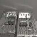 2-Pack Live Animal Traps, Humane Rat Traps for catching Hamsters, Chipmunks, Voles, Squirrels, and mice, Suitable for Both Indoor and Outdoor use