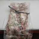 Eliza J Women's Plus Gown Style Floral Organza Sleeveless Jewel Neck Dress, Ivory Multi Size 22W