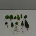 MOMOONNON 25pcs Mixed Miniature Trees Artificial Wargame Trees Model Railroad Scenery Diorama Supplies Landscape