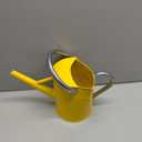 yourjoy Metal Watering Can, One Gallon Watering Cans Stainless Steel for Outdoor Indoor Garden Plants Watering (Yellow)