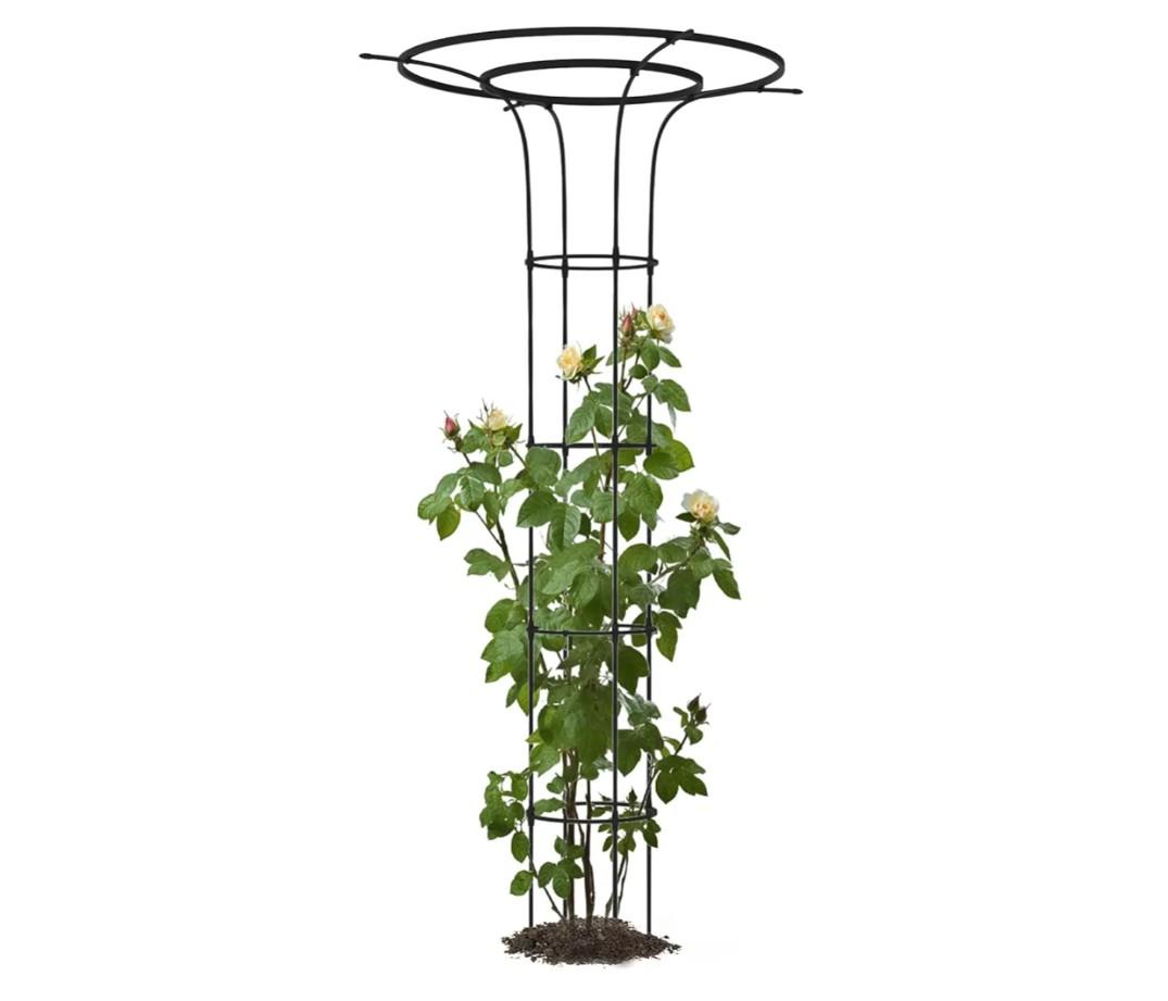 Trellis for Climbing Plants Outdoor - 69"(H), Expandable and Rust-Proof Metal Plant Support, Easy Installation, Garden Trellis for Potted Roses, Vines, Jasmine(1 Pack)