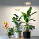 Grow Lights for Indoor Plants, Full Spectrum Plant Grow Light with 6/12/16H Timer, 3 Color Modes, 5 Brightness, 10"-65" Height Adjustable Growing Lamp for Large Indoor Plants (2 Pack) (Faux Wood Grain-6.3in)