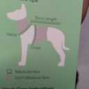 Kuoser Reversible Dog Jacket Waterproof Winter Coat
