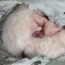 Wyeysyt Women's Faux Fur Coats with Hood Winter Warm Cropped Hoodie Jacket Long Sleeve Thick Short Outerwear with Pockets (Large, Lightpink)