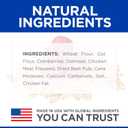 Hill's Natural Fruity Crunchy Snacks, All Life Stages, Great Taste, Dog Treats, Cranberries & Oatmeal , 8 oz Bag (8 Ounce (Pack of 1))