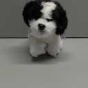 Bearington Dog Stuffed Animal - Puppy Realistic Stuffed Animals - Plush Dog Toys for Kids Shih Tzu - Butch 11 Inch