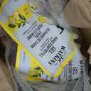 J.R. Watkins Liquid Foaming Hand Soap Lemon Refill, Pack of 1 - SET OF 3