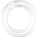 FC16T9/CW 40W & FC12T9/CW 32W Cool White Set, 16 inch T9 40 Watts & 12 inch 32 Watts Round Fluorescent Light Bulb, Circular Bulb Kitchen and Bath, 841 4100K, G10q 4 pin Prong