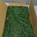 12 Pcs Christmas Norfolk Pine Branches 18 Inch Artificial Norfolk Pine Stems Faux Stem Greenery Pine for DIY Crafts Garland Wreath Xmas and Home Decor